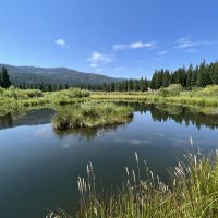 Whitehawk Meadows Ranch