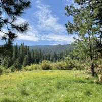 Whitehawk Meadows Ranch images 4