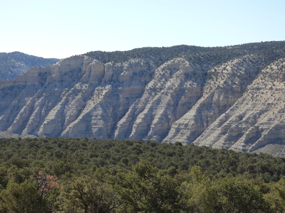 Strawberry River Road Overlook featured image