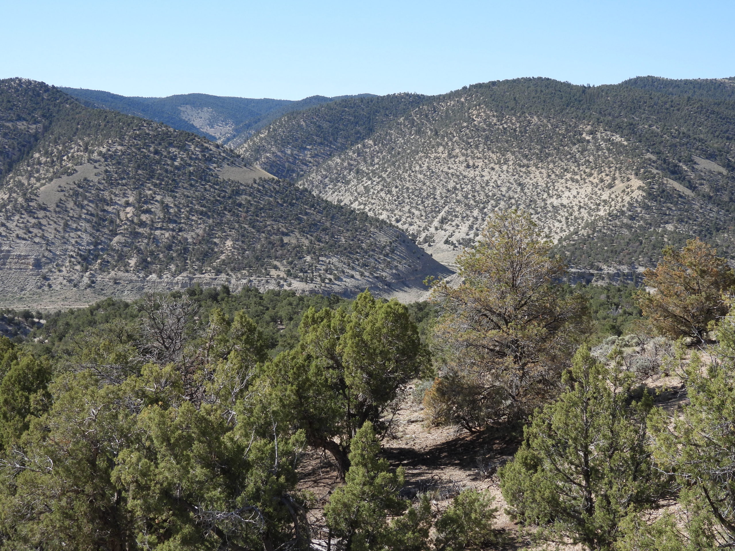 Strawberry River Road Overlook Hunting Land for Sale HuntingLocator