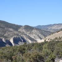 Strawberry River Road Overlook images 4