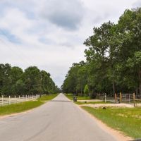 80 acres Tommy Smith Road images 2