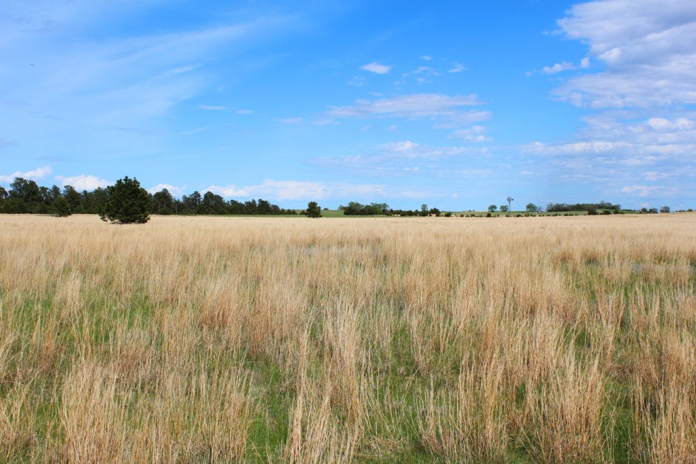 Dutch Creek Range and Wildlife featured image