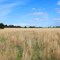 Dutch Creek Range and Wildlife