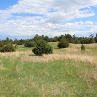 Dutch Creek Range and Wildlife images 2
