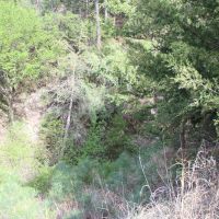 Dutch Creek Range and Wildlife images 4