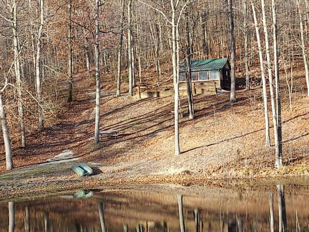 42 Acres Greene County IN - Land for Sale featured image