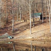 42 Acres Greene County IN - Land for Sale