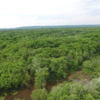 One of a Kind Flooded Timber Columbia County WI images 5