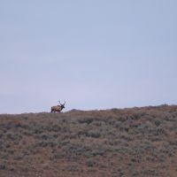 Arrow Ranch images 4