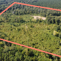 40 Acres Land for Sale Morehouse Parish LA
