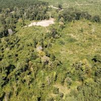 40 Acres Land for Sale Morehouse Parish LA images 3