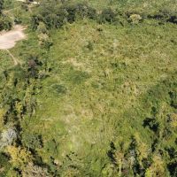 40 Acres Land for Sale Morehouse Parish LA images 4