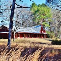 Deer Creek Land Timber - 1200 Acres Jefferson County MS