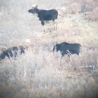 Warren Hunting Ranch images 3