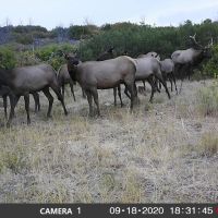 Warren Hunting Ranch images 4