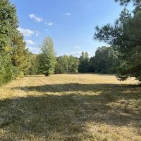 12.8 - Acres Near Quitman Arkansas images 2