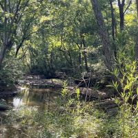 12.8 - Acres Near Quitman Arkansas images 3