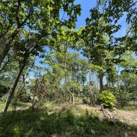 5 Acre great building site in Delaware County IN on N 425 E Rd Eaton IN. images 3