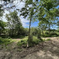 5 Acre great building site in Delaware County IN on N 425 E Rd Eaton IN. images 4