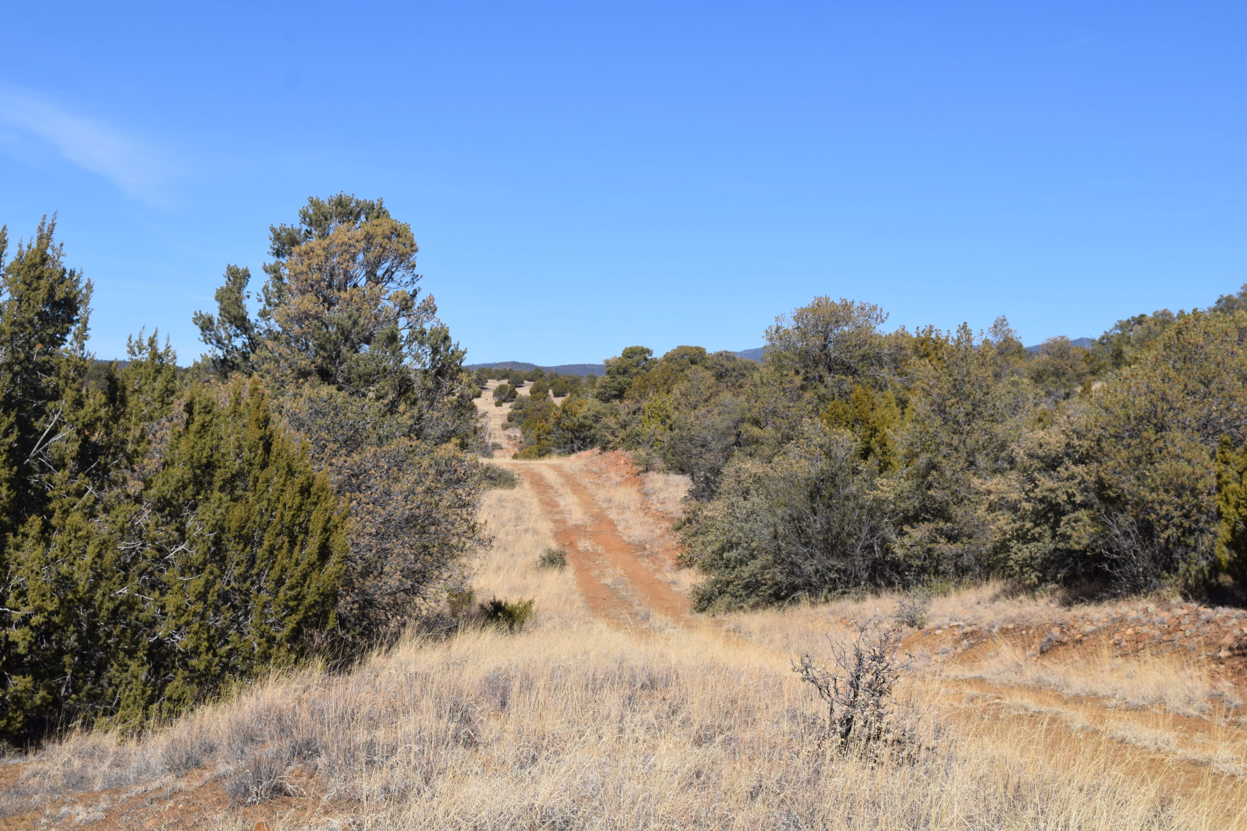 Wagon Ridge Ranch Hunting Land for Sale