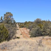 Wagon Ridge Ranch