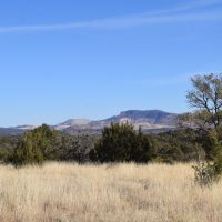 Wagon Ridge Ranch images 2
