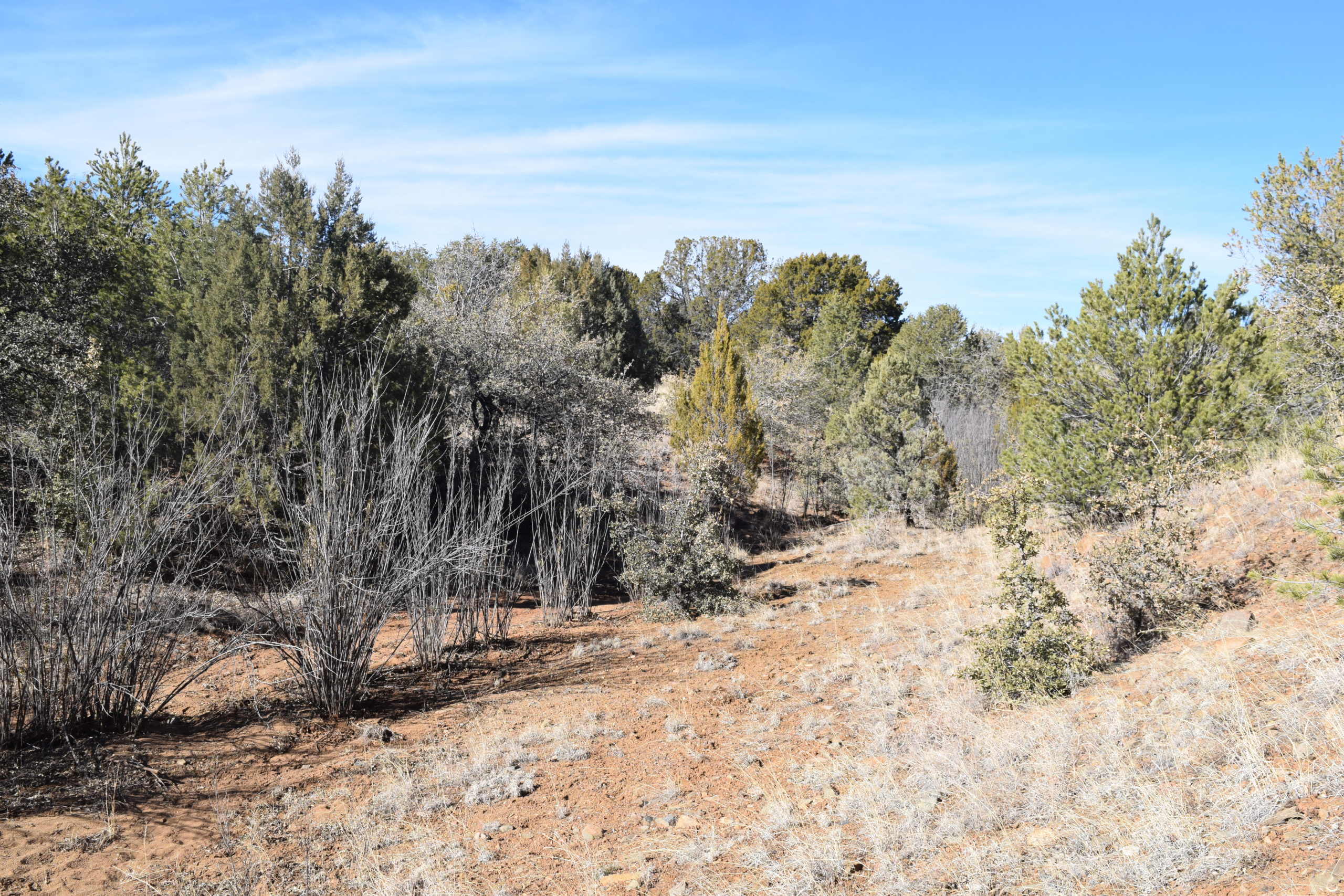 Wagon Ridge Ranch Hunting Land for Sale