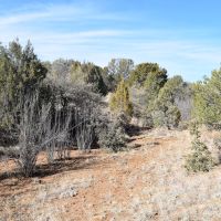 Wagon Ridge Ranch images 3