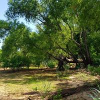 Eufaula 16 images 2