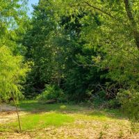 Eufaula 16 images 5