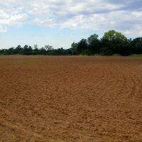 160 Acre Tract with Tillable Land in Garfield County