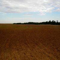 160 Acre Tract with Tillable Land in Garfield County images 2
