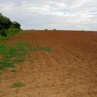 160 Acre Tract with Tillable Land in Garfield County images 3