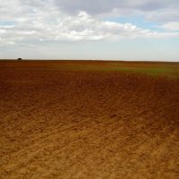 160 Acre Tract with Tillable Land in Garfield County images 4