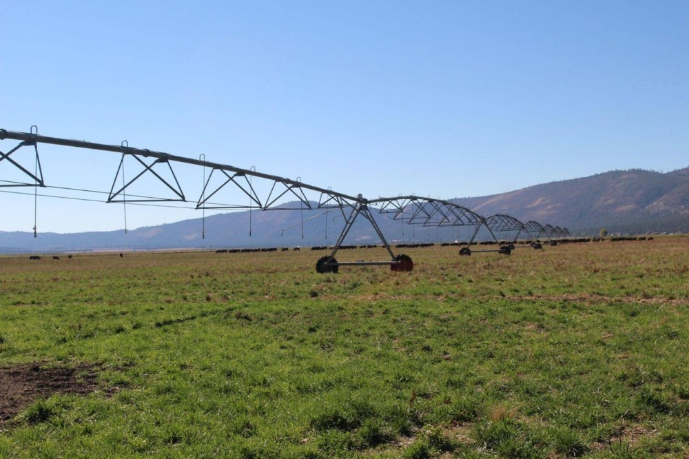 West Langell Valley - Hay Pasture Pivots - Bonanza featured image