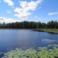 Cabin on Mary s Pond