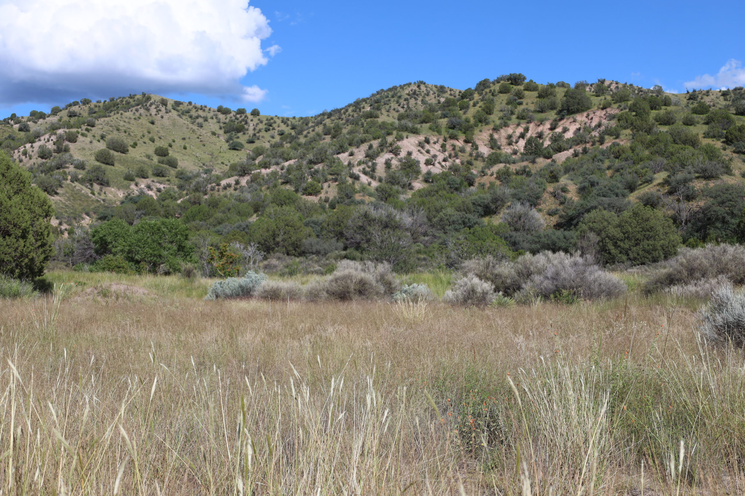 Noonday Canyon Ranch Hunting Land for Sale