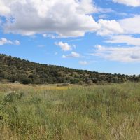Noonday Canyon Ranch images 2