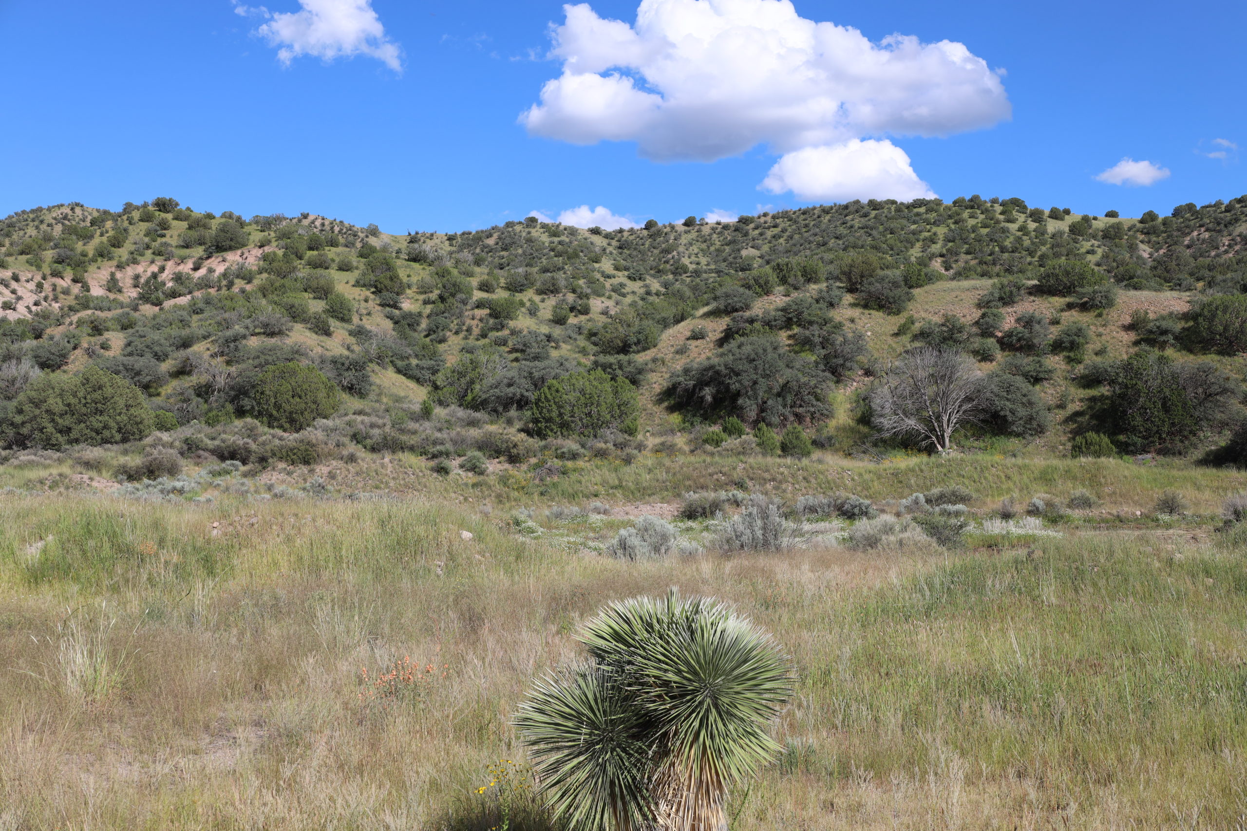 Noonday Canyon Ranch Hunting Land for Sale