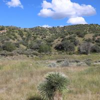 Noonday Canyon Ranch images 3