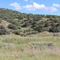 Noonday Canyon Ranch images 4