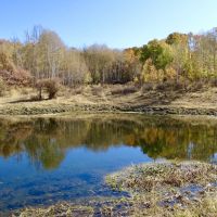 Pond Rock Elk and Cattle Ranch images 2