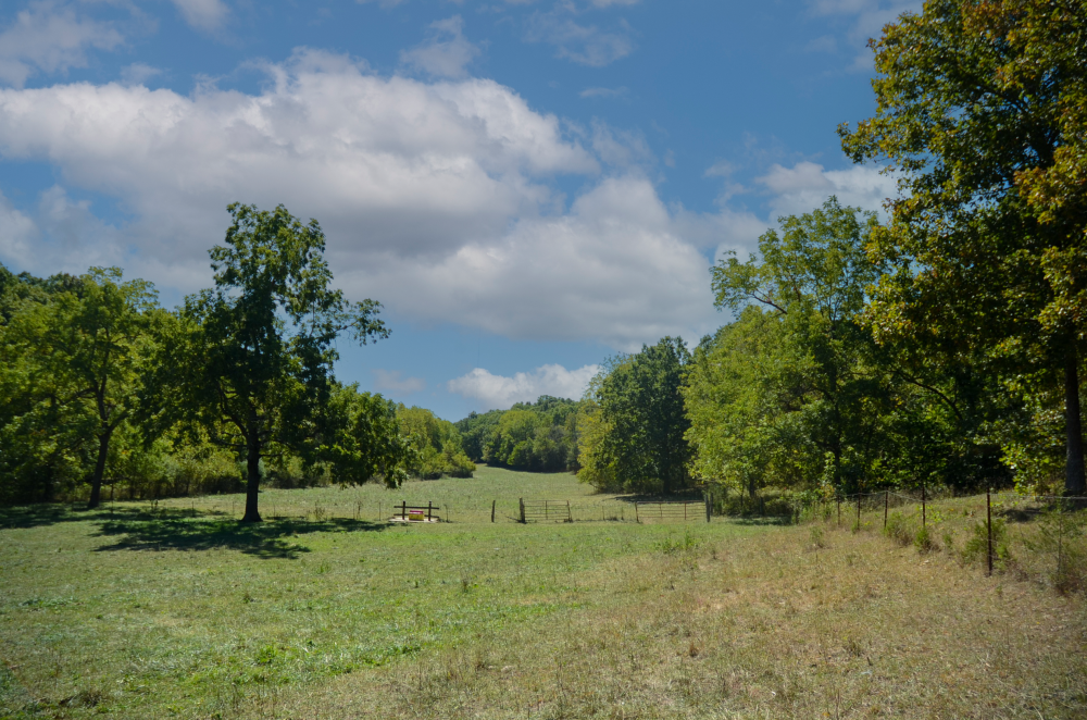 Turn Key Recreational And Cattle Property With Home And Outbuildings Near Marshfield featured image