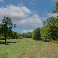 Turn Key Recreational And Cattle Property With Home And Outbuildings Near Marshfield