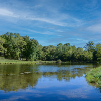 Turn Key Recreational And Cattle Property With Home And Outbuildings Near Marshfield images 3