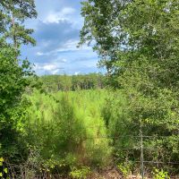12 Acres US Hwy 59 N