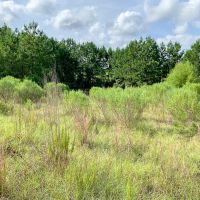 12 Acres US Hwy 59 N images 2