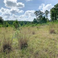 12 Acres US Hwy 59 N images 4