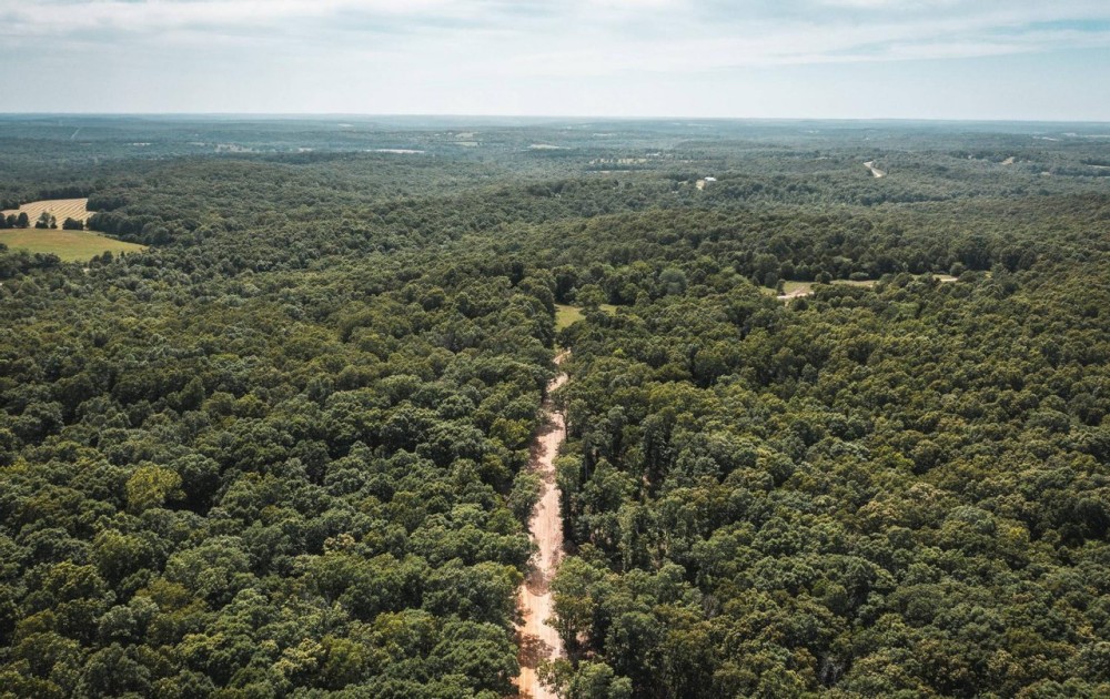White Oak Ridge- Tract 5 featured image